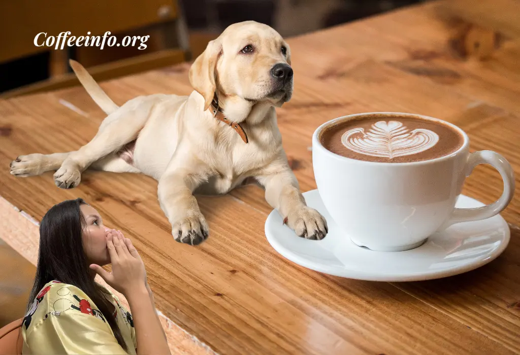 Is Coffee Bad for Dogs? Understanding the Risks and Alternatives